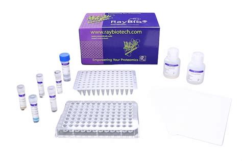 Human alpha Synuclein ELISA Kit 